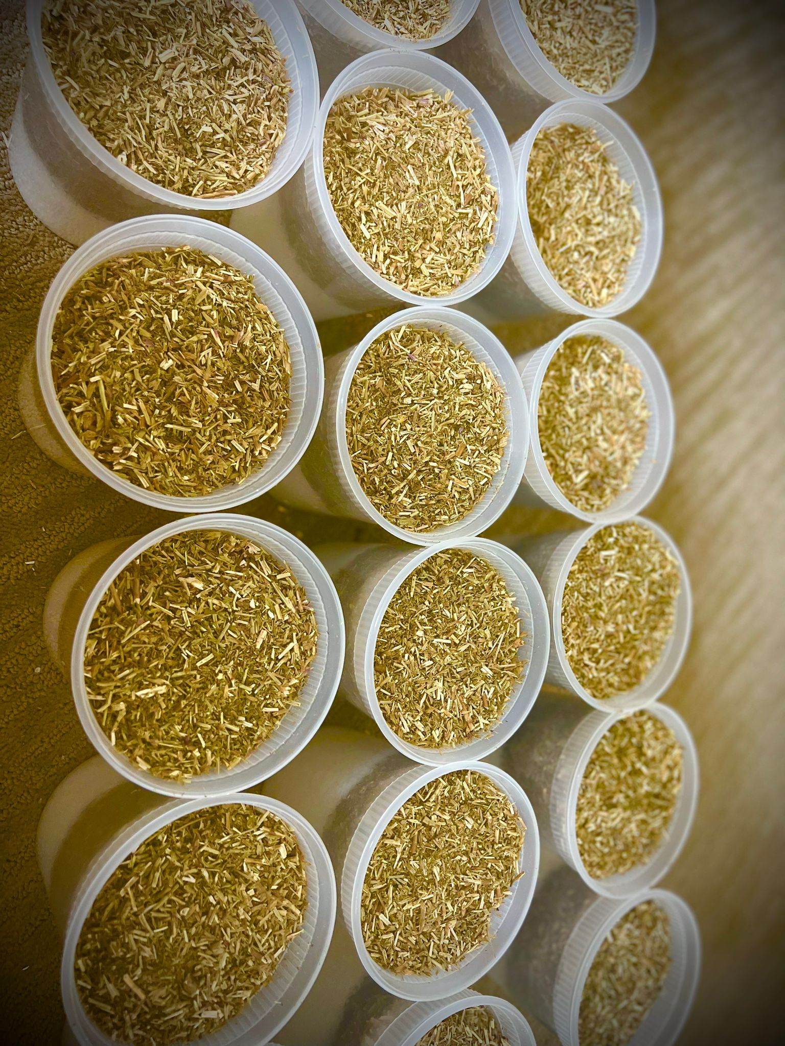 Nika Bain de Purification / Purification Kit - GeVi Beauty