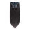 Clip-in Hair Extensions Clip-ins extensions GV Hair Beauty 